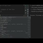Python Program Swapping The Elements Of The List