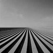 Parallel Lines
