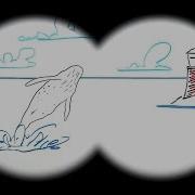 Canon IS Binoculars Explained Whiteboard Animation