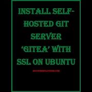 Deploy A Self Hosted Git Server With Gitea Nginx Reverse Proxy SSL
