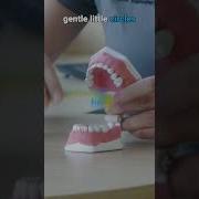 Teeth Brushing Tip For Kids