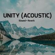 Unity Acoustic Slowed Reverb