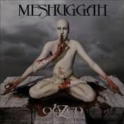 Meshuggah Electric Red With Metronome