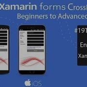 Xamarin Forms Entry Labels Buttons Demo Customer Order Tutorial 20