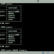 MySQL Search Multipule Fields In Database BASH Linux