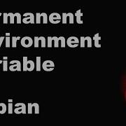 How To Set Permanent Environment Variable In Debian