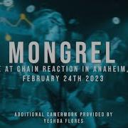 197 Media Mongrel 02 24 2023