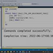 DAY07 SSIS BULK INSERT TASK