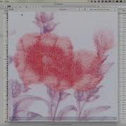 Video Art With FFMPEG Week 1 FFMPEG Basics