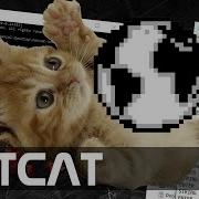 NetCat Super Fast Reverse Shell W Usb Ducky