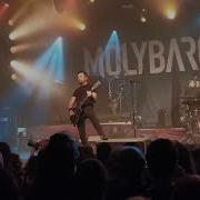 Molybaron Set Alight Live In Porto 2023 4k