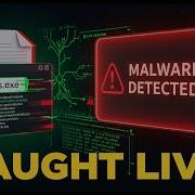 Real Malware Gets Exposed By ANY RUN Live Cyber Attack Analysis