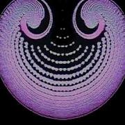 Video Feedback Experiments