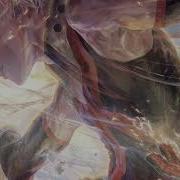 Nightcore Starfire Spencer Maro