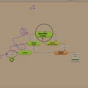 2 Android Fundamental Activity Lifecycle