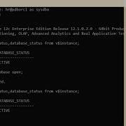 ORA 01033 ORACLE Initialization Or Shutdown In Progress Solution