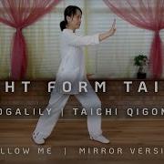 8 Form Tai Chi Yang Style Follow Me Mirror Version 八式太极拳