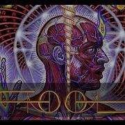 TOOL REFLECTION