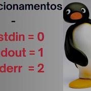 Redirecionamentos Stdin Stdout Stderr