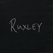 Ruxley This Song Should Not Exist Official Lyric Video