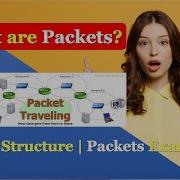 Packets In Networks What Are Packets Packets Structure Packets Example