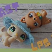 LPS TOAST FULL MEP