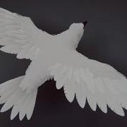 Bird Feather Demo In Unity