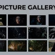 How I Made Responsive Image Gallery Using HTML CSS JavaScript