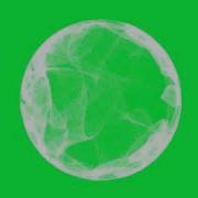Free Green Screen After Effects Audio Spectrum Circle Trapcode Form Au