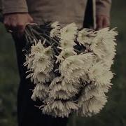 STINKY Mourning Flowers Official Music Video