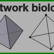 Network Biology A Short Introduction To The Core Concepts
