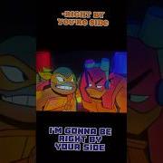 No Matter What ROTTMNT Donnie Mikey Edit