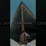 Ne Var Ne Yok Sata Sata çağır Beni Gelem Sana