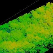 Canopy Height Model With Cloud Compare