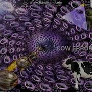 Cow Error 216