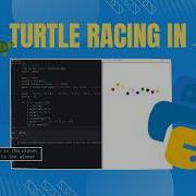 Python Beginner Project Tutorial 10 Turtles Are Racing