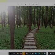 How To Resize Multiple Images Using Python Example 96
