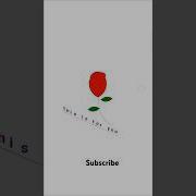 Rose Drawing With Special SMS Python Turtlel Study Shorts Python Coding Design Educational Fun