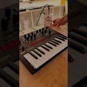 It S Actually Very Affordable Korg Monologue Analogsynth Moogaudio Shorts