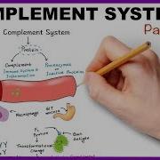 Complement System Part 1