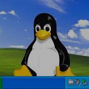 I Turned My Linux Into Windows XP