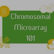 Chromosomal Microarray 101