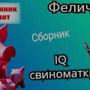 Феличита IQ свиноматки Сборник разговоров с телефонными мошенниками