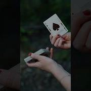 Card Magic Double Undercut