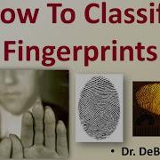 How To Classify Fingerprints