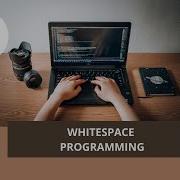WHITESPACE PROGRAMMING FACTZGEEK