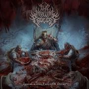 The Malum Process 2025 Ignominious Feast Of Decay Slamming Brutal Death DR11