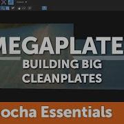 21 Using Megaplates For Remove Mocha Essentials