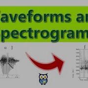 Waveforms And Spectrograms
