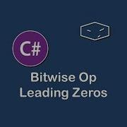 Bitwise Op Leading Zeros In C
